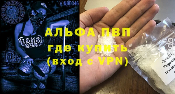 a pvp Магас