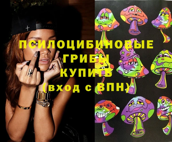 a pvp Магас