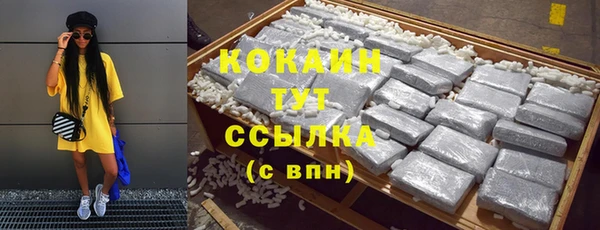 a pvp Магас