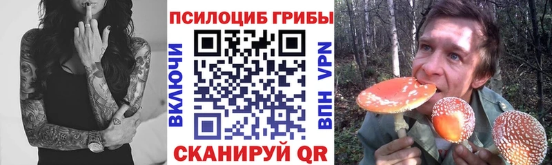 мориарти как зайти  купить наркотики цена  Михайловск  Галлюциногенные грибы мухоморы 