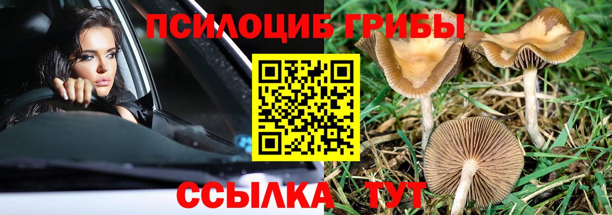 КОКАИН  Гашиш  МАРИХУАНА  Кетамин  Мефедрон   Михайловск  Вход с VPN 