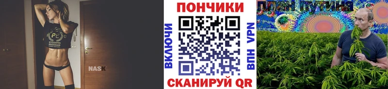 Бошки Шишки ГИДРОПОН  Михайловск 